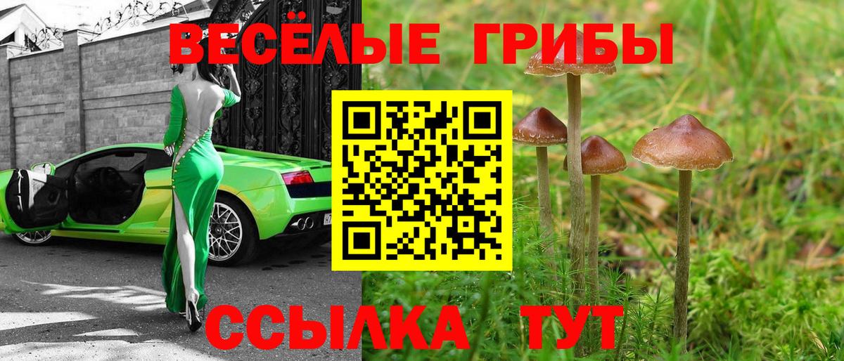 Галлюциногенные грибы Cubensis Новошахтинск
