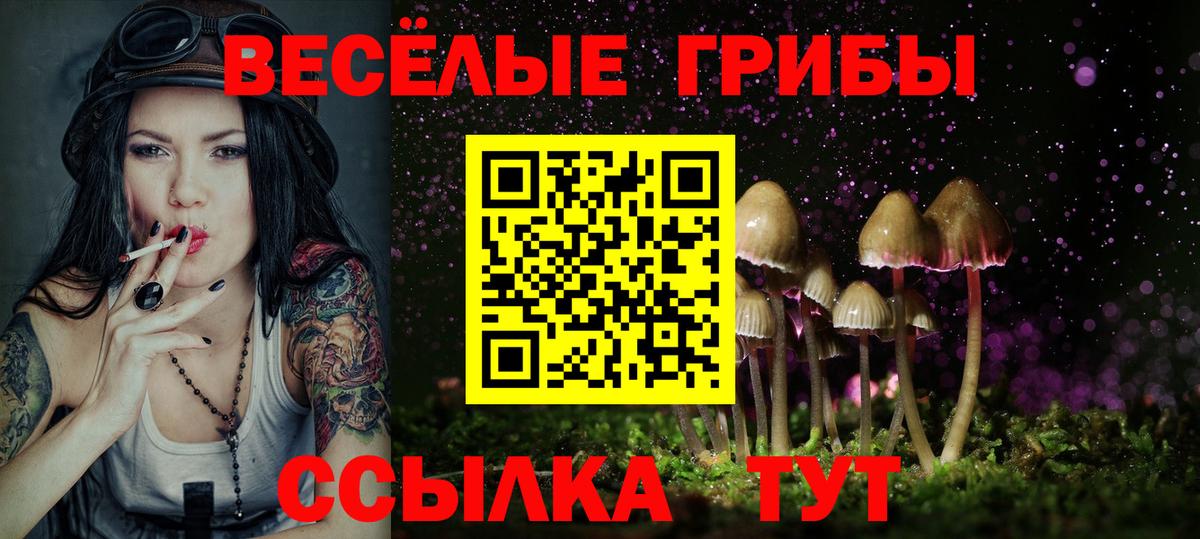Новошахтинск  Псилоцибиновые грибы Psilocybe  где продают   Галлюциногенные грибы Cubensis  Вход с VPN 